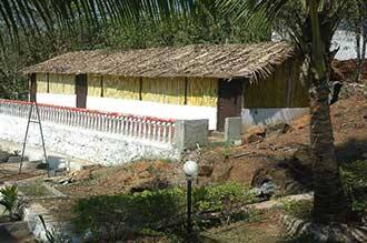 Doctor Farm, Kolad 4